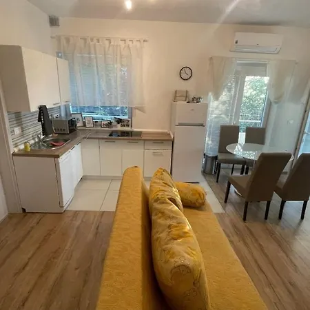 Apartment Apartmaji Meduza 2 *